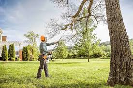 Seasonal Cleanup (Spring/Fall) in Schulenburg, TX