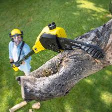 Best Aeration Services  in Schulenburg, TX