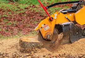 Best Tree Cabling and Bracing  in Schulenburg, TX
